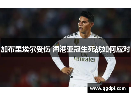 加布里埃尔受伤 海港亚冠生死战如何应对